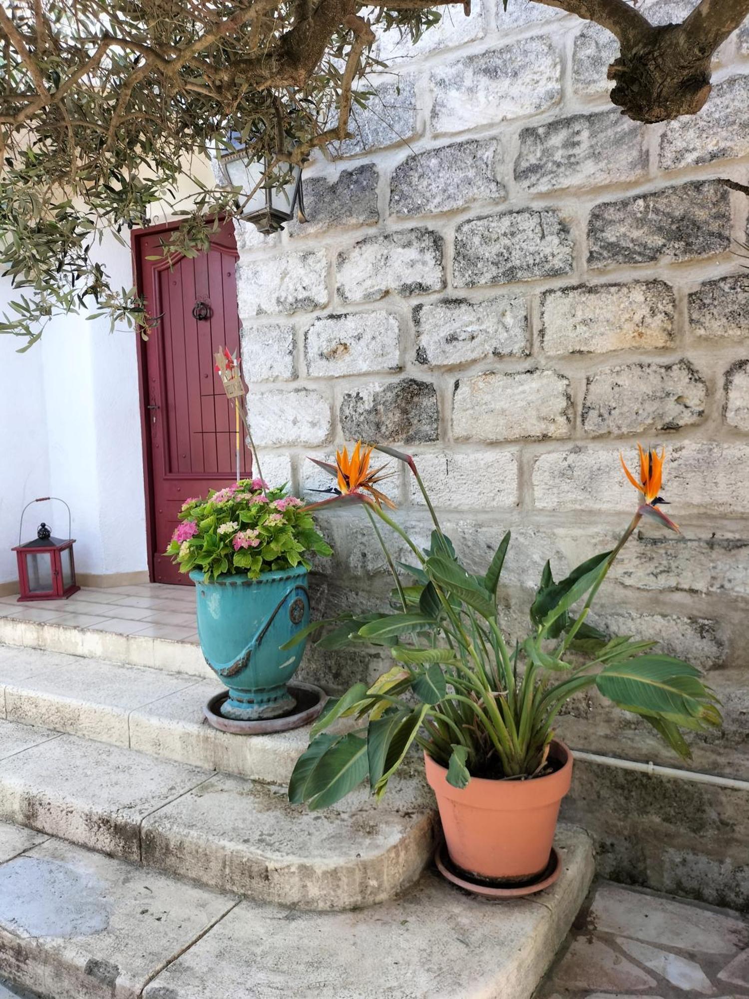 Charmant Appart Avec Jardin Aigues-Mortes Luaran gambar